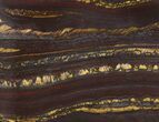 Tiger Iron Stromatolite Shower Tile - Billion Years Old #48808-1